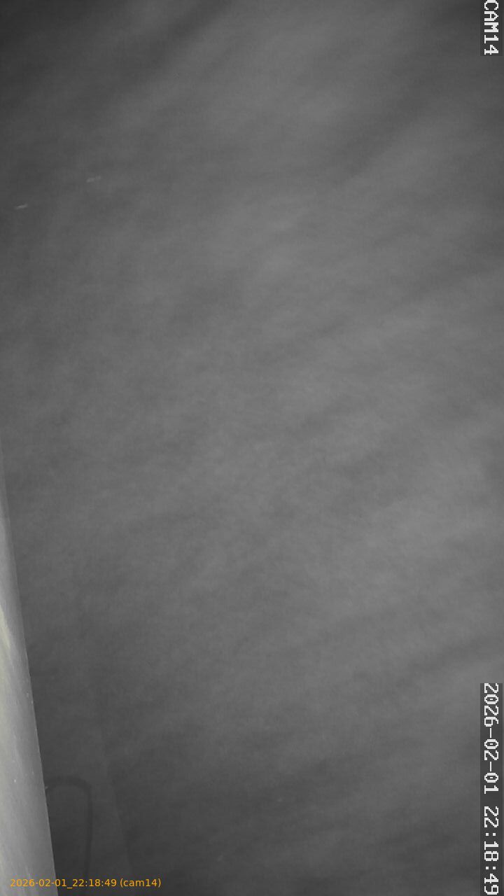 thumbnail_20260201221849