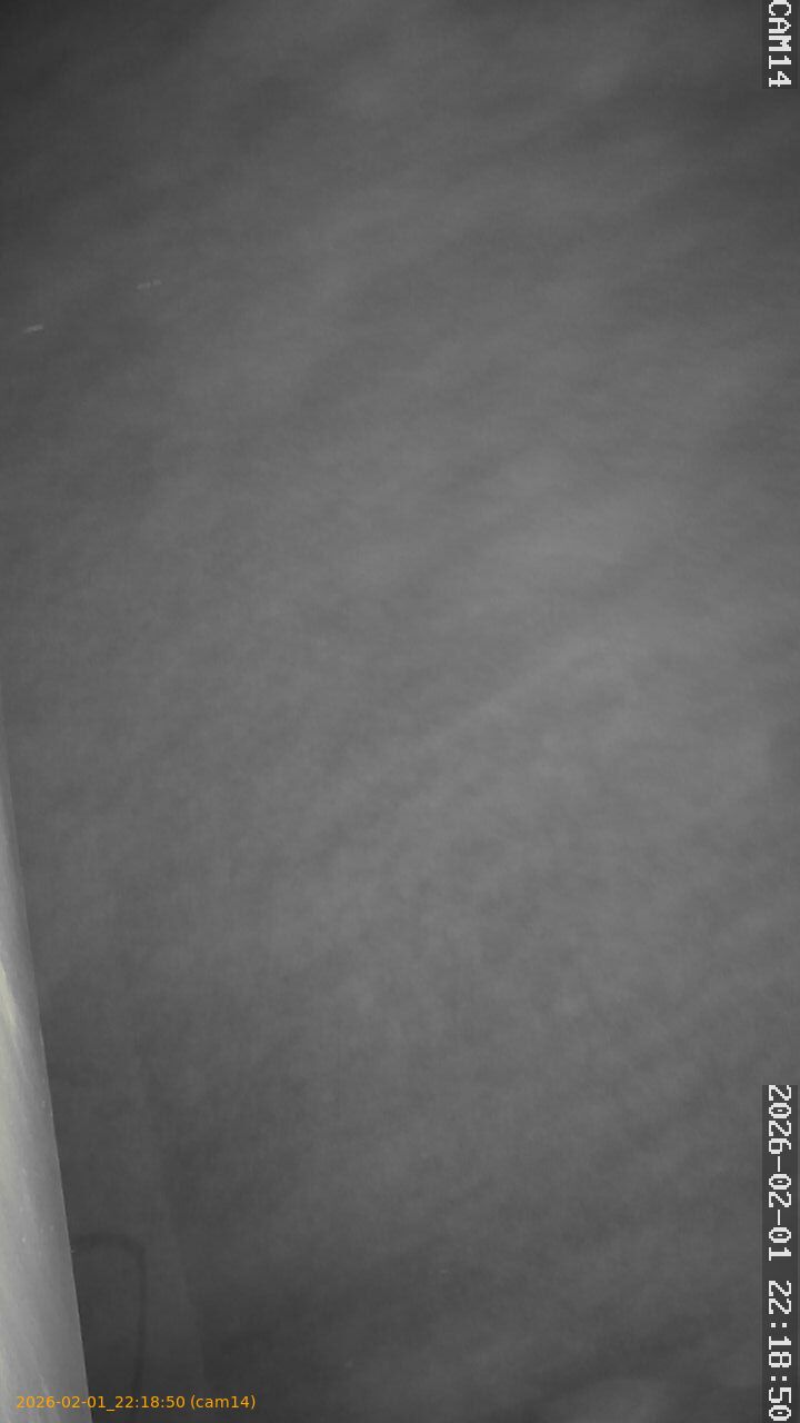 thumbnail_20260201221850