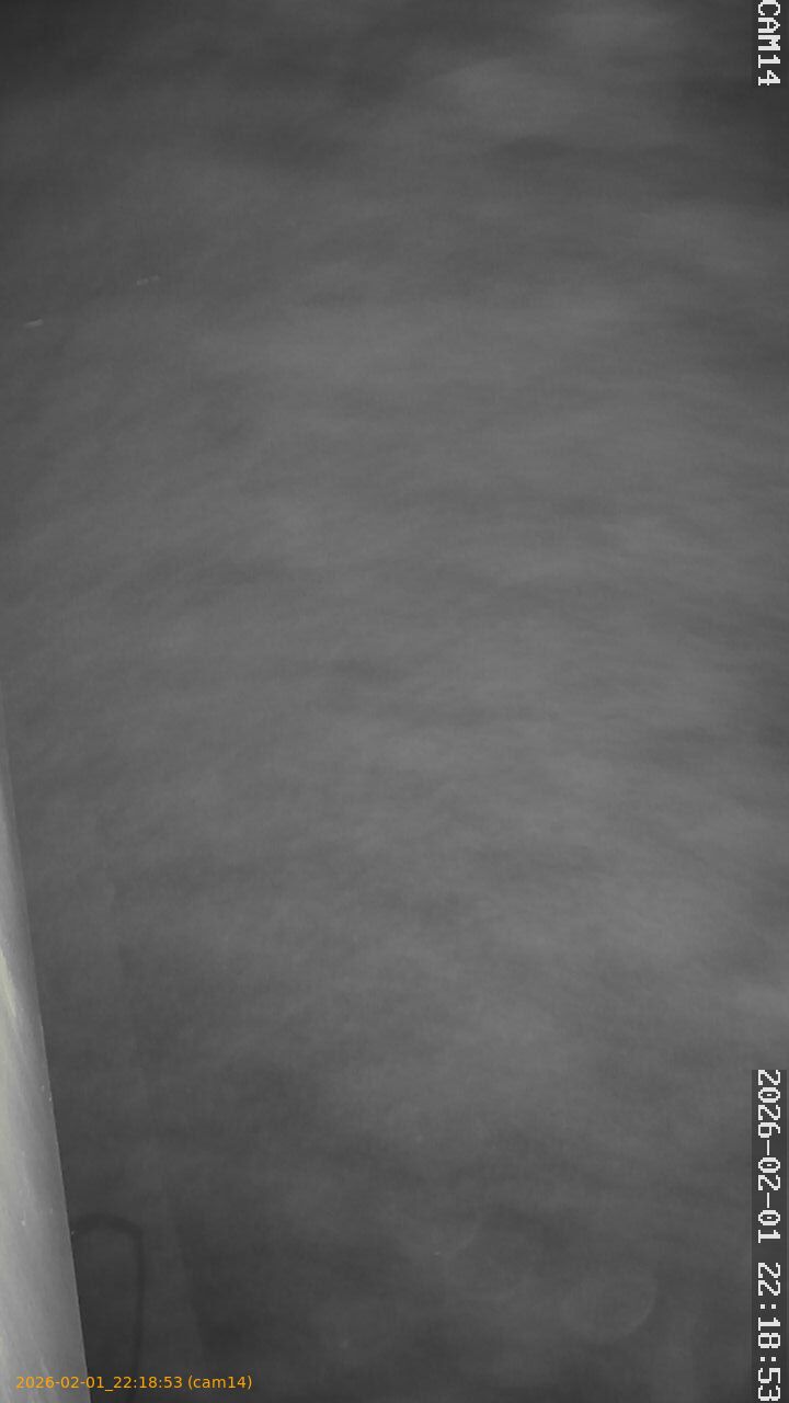 thumbnail_20260201221853