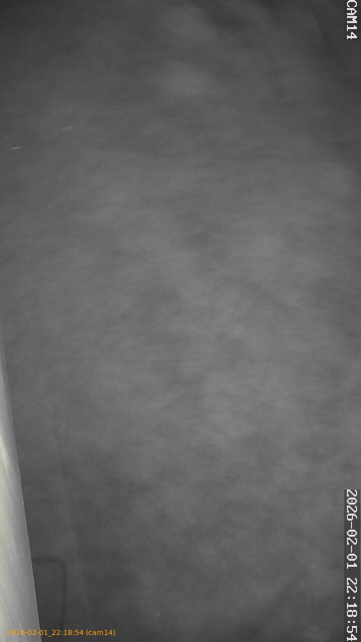 thumbnail_20260201221854