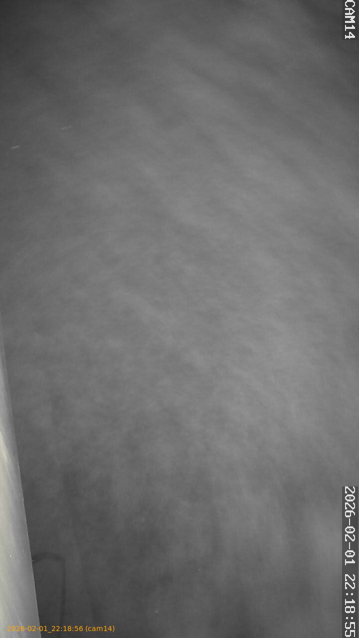 thumbnail_20260201221855