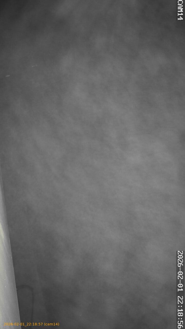 thumbnail_20260201221857