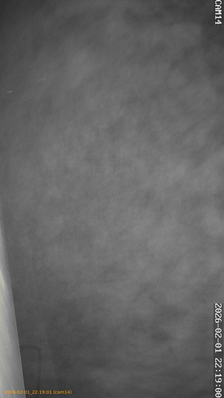 thumbnail_20260201221901