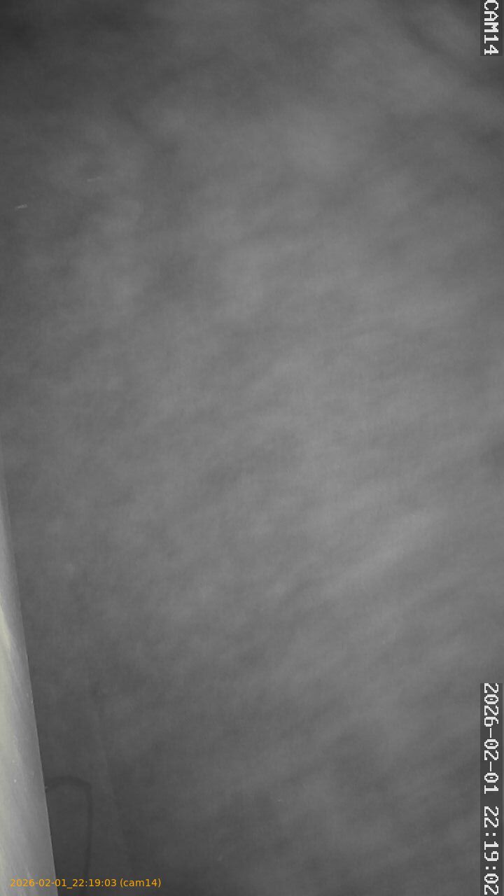 thumbnail_20260201221903