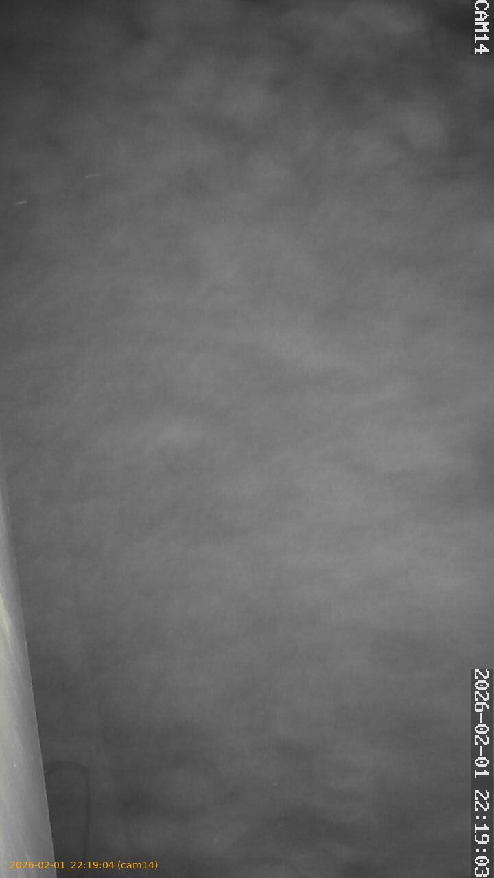 thumbnail_20260201221904