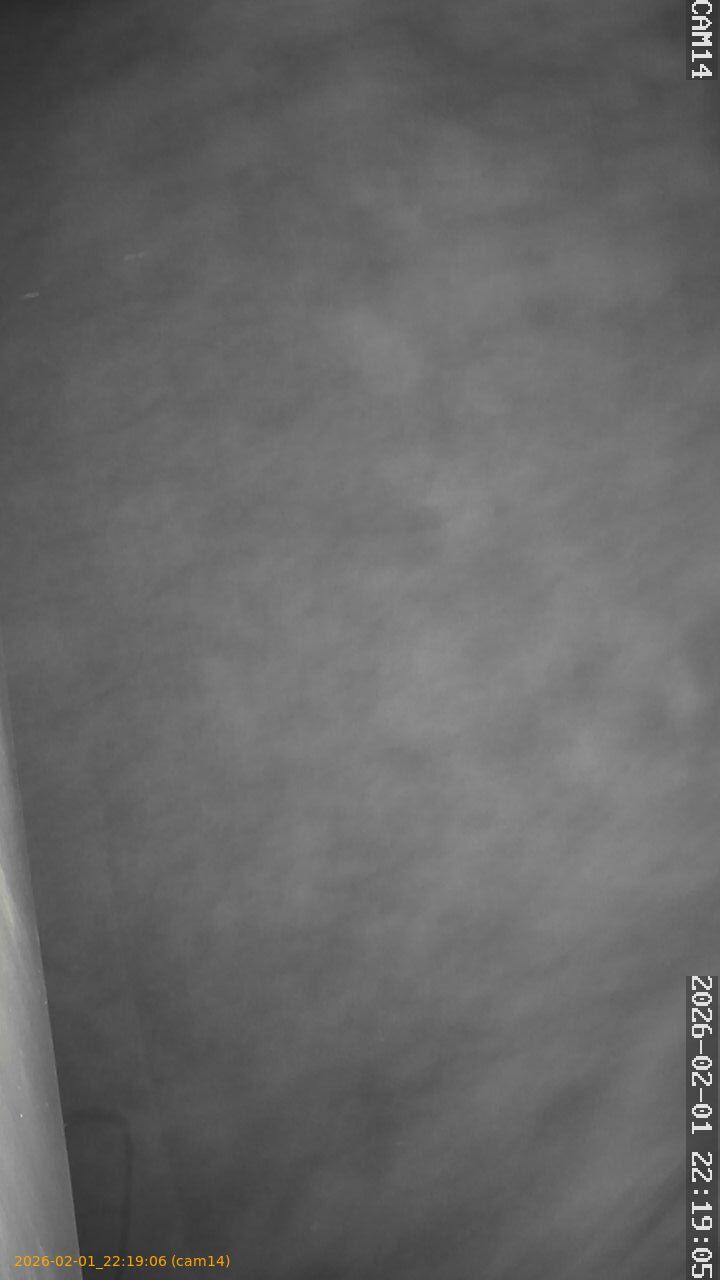 thumbnail_20260201221906