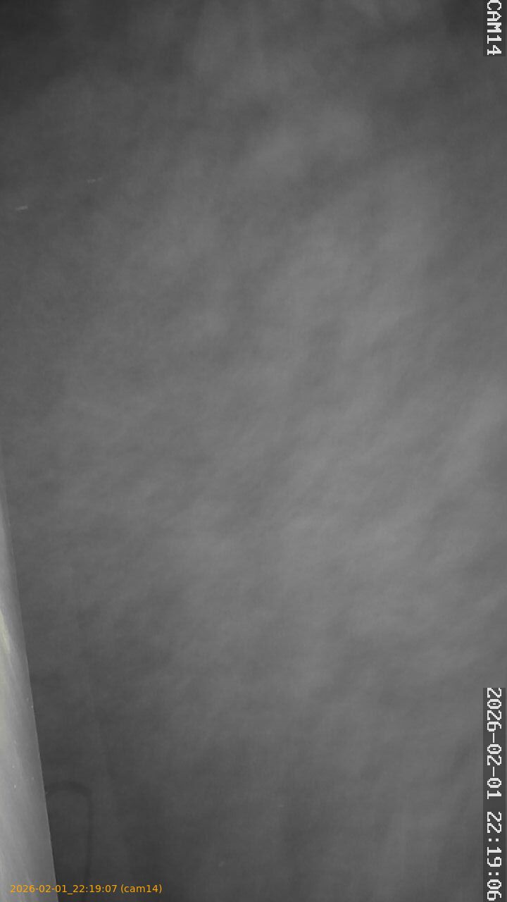 thumbnail_20260201221907