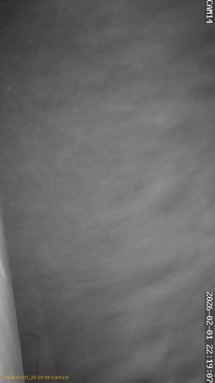 thumbnail_20260201221908