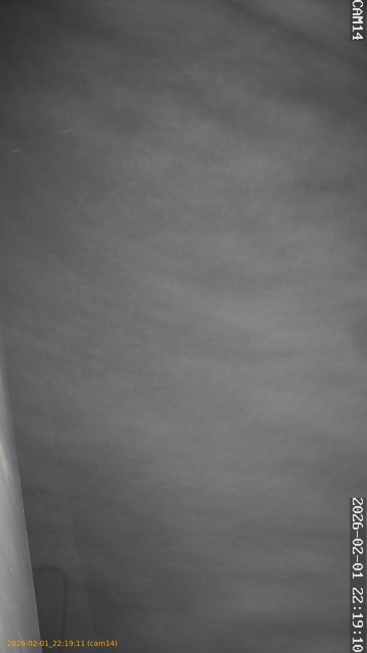 thumbnail_20260201221911