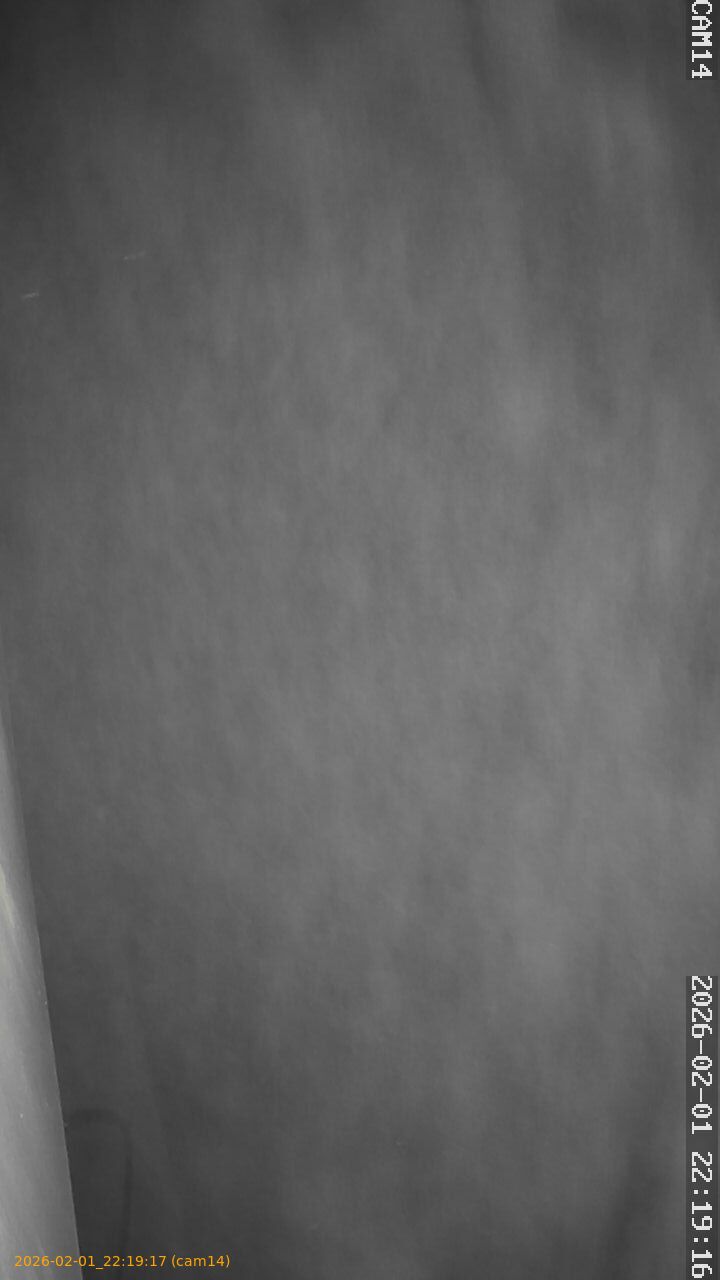 thumbnail_20260201221917