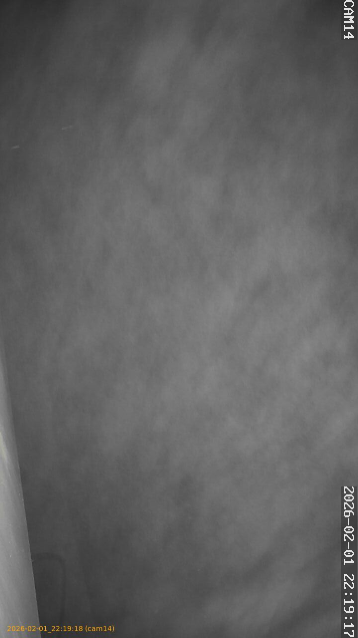 thumbnail_20260201221918