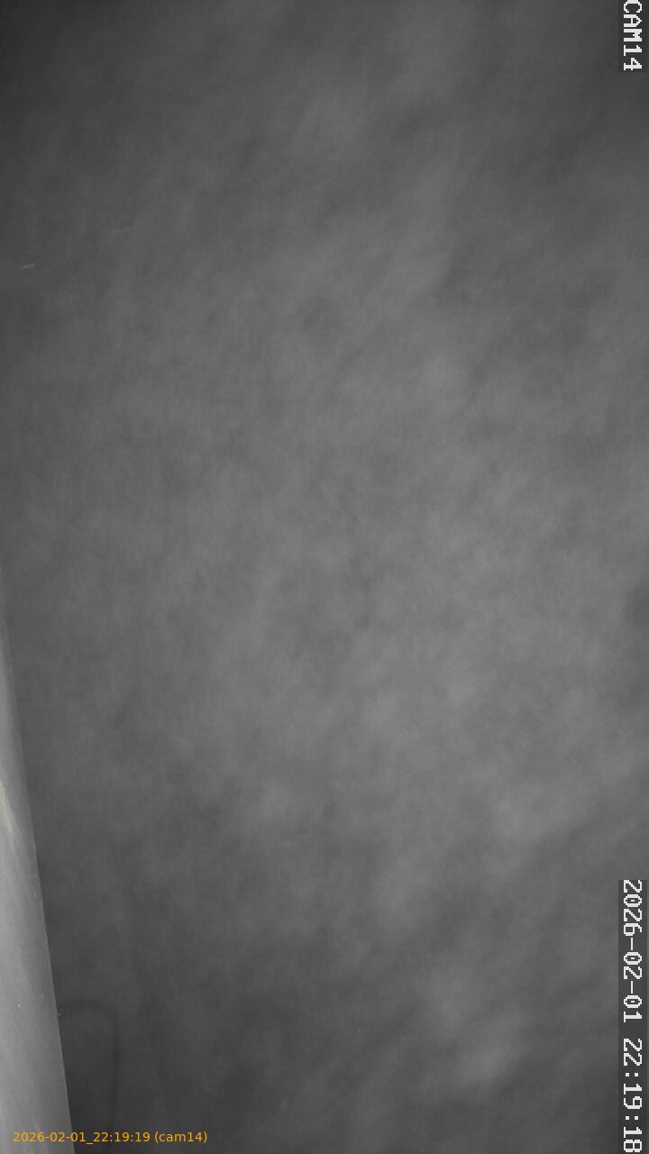 thumbnail_20260201221919