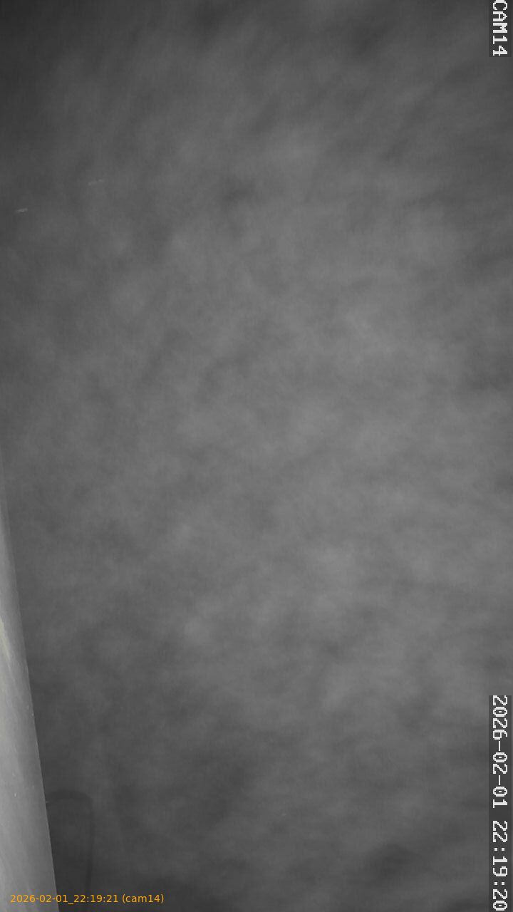 thumbnail_20260201221921