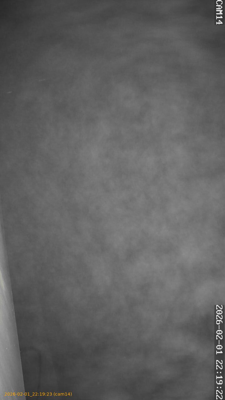 thumbnail_20260201221923