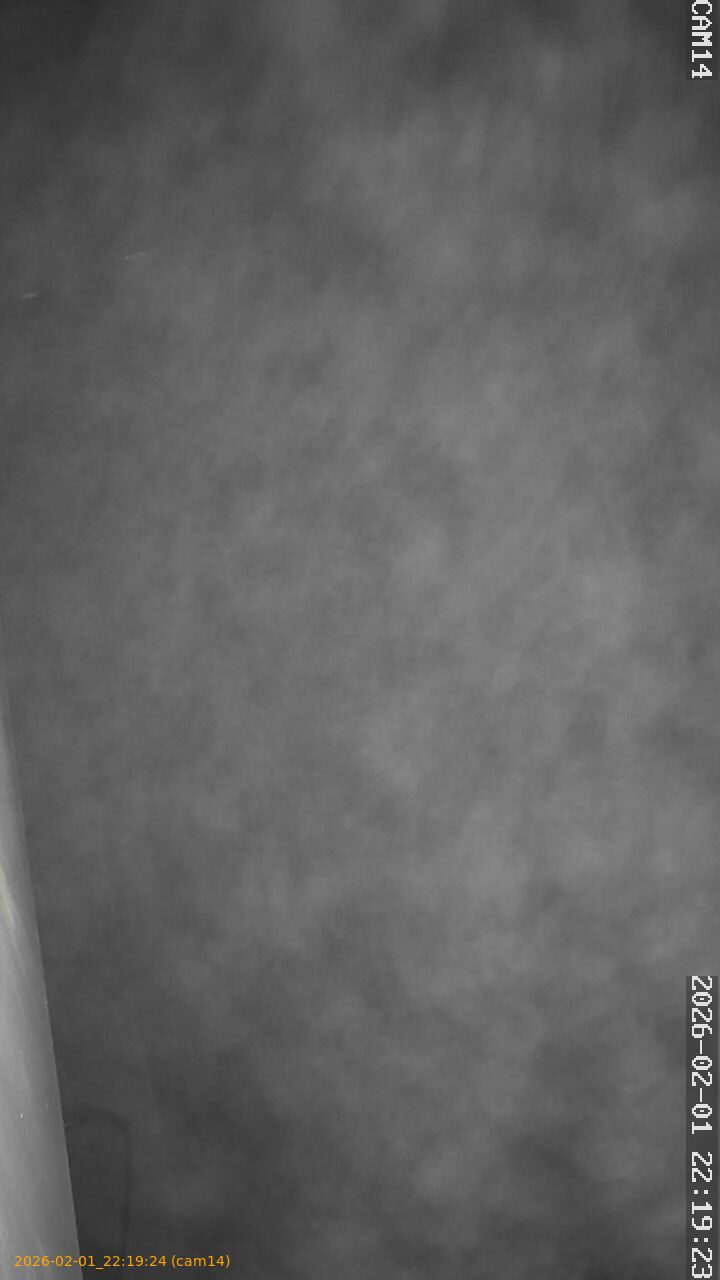 thumbnail_20260201221924