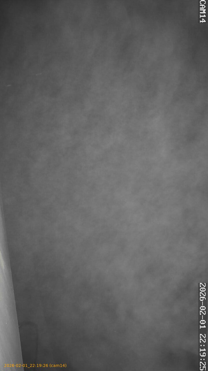 thumbnail_20260201221926