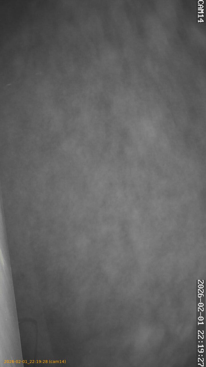 thumbnail_20260201221928