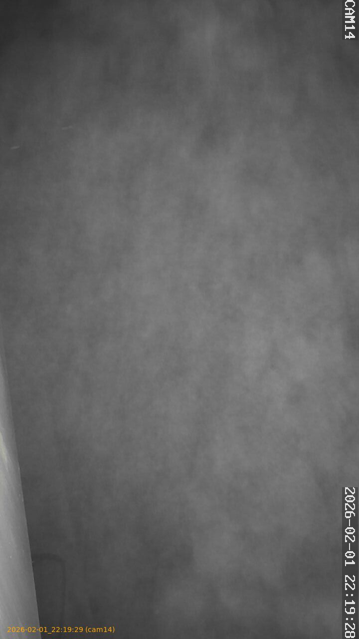 thumbnail_20260201221929