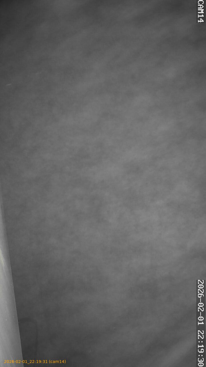 thumbnail_20260201221931