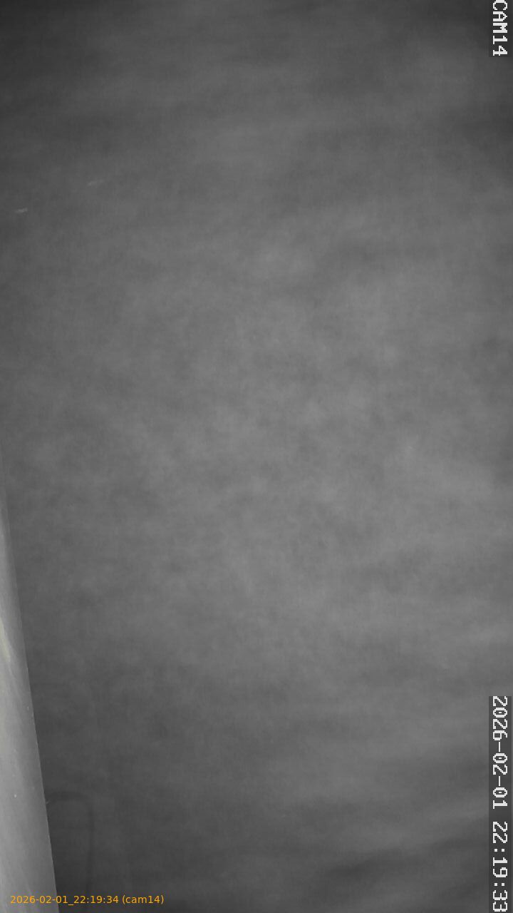 thumbnail_20260201221934