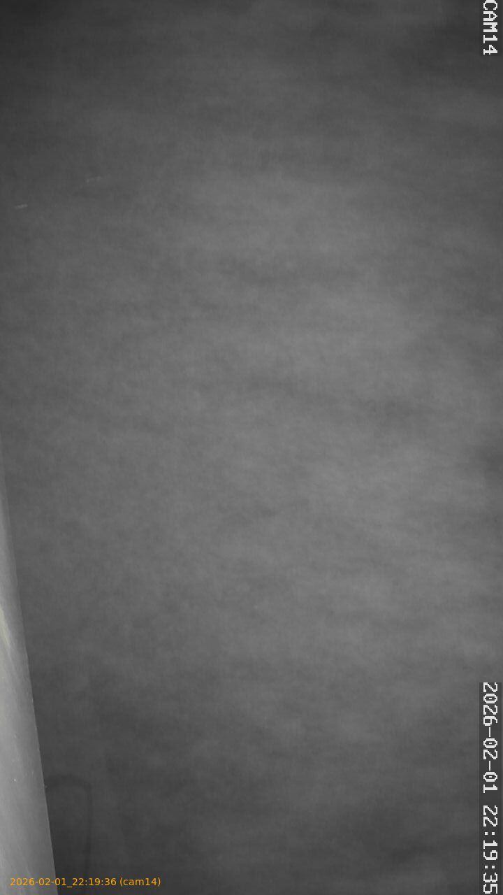 thumbnail_20260201221936