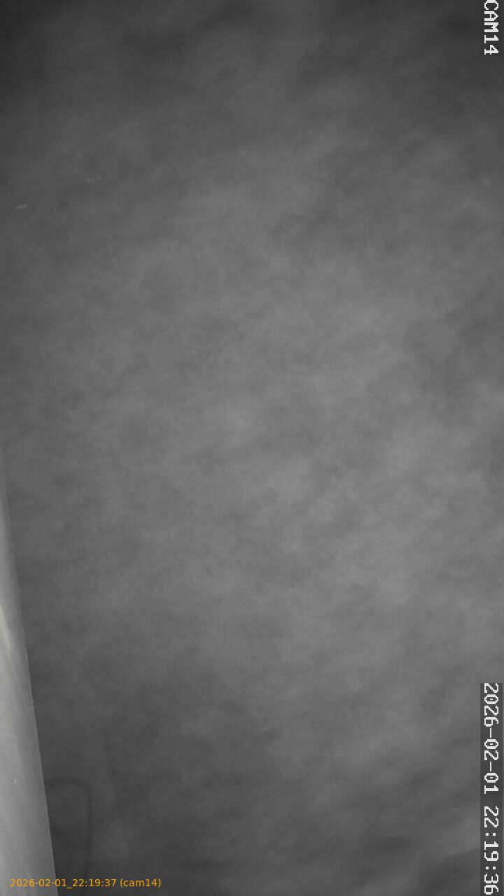 thumbnail_20260201221937