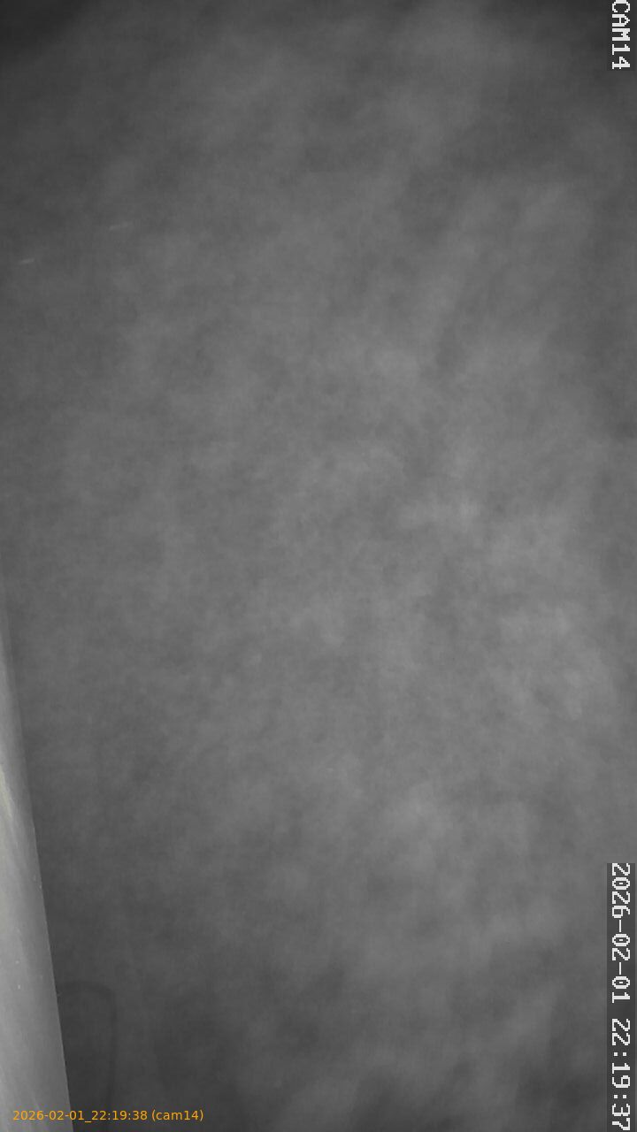 thumbnail_20260201221938