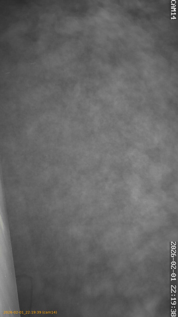 thumbnail_20260201221939