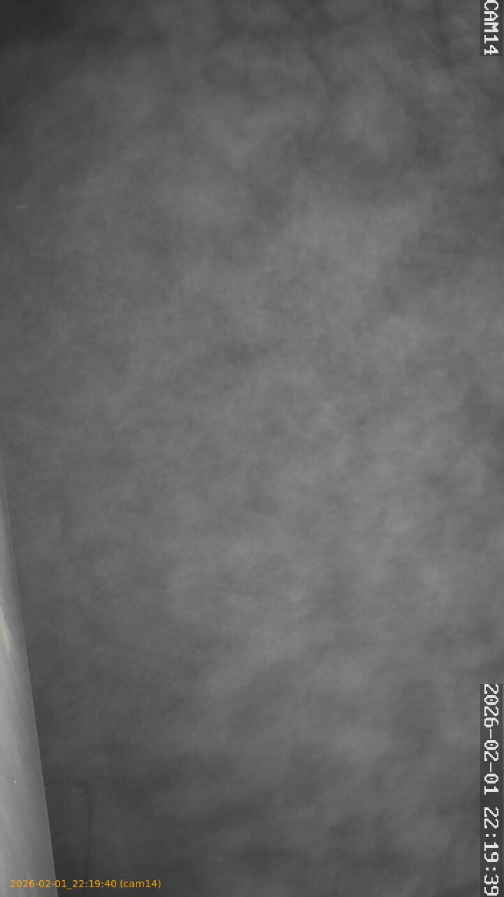 thumbnail_20260201221940