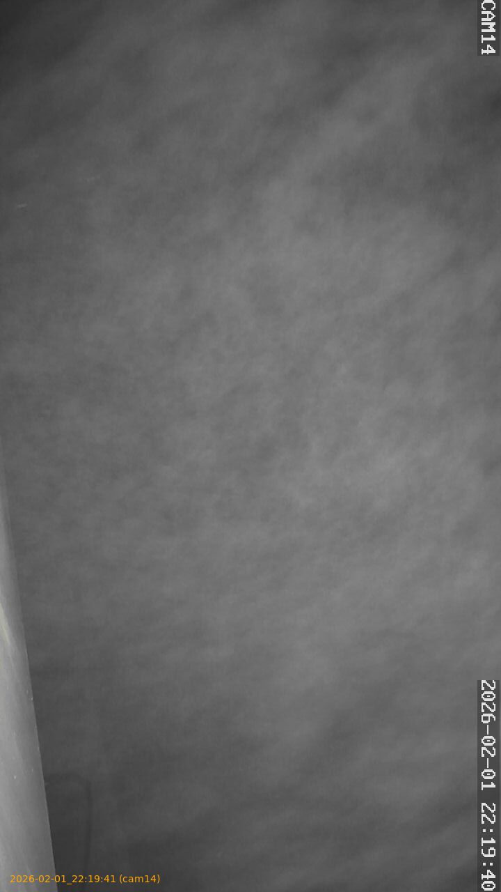 thumbnail_20260201221941