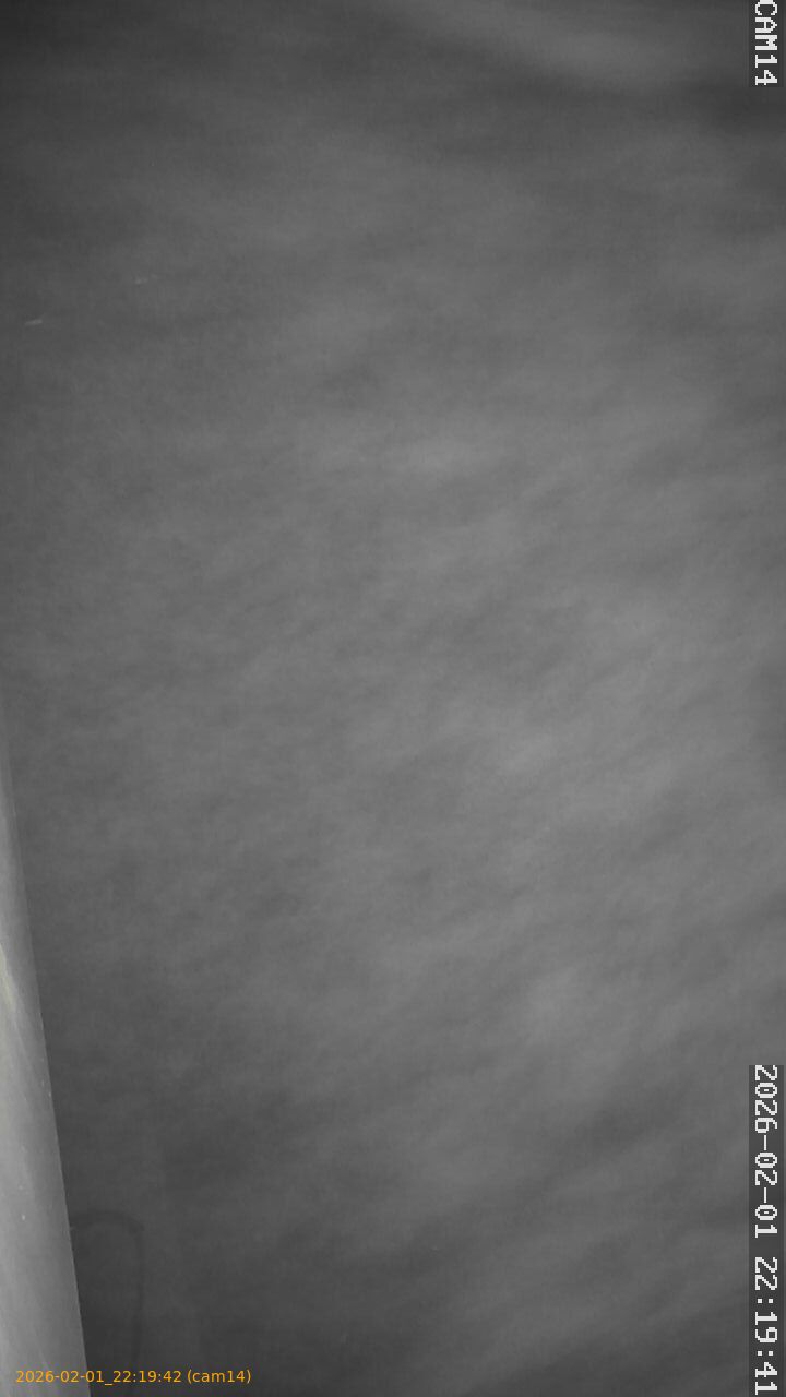 thumbnail_20260201221942