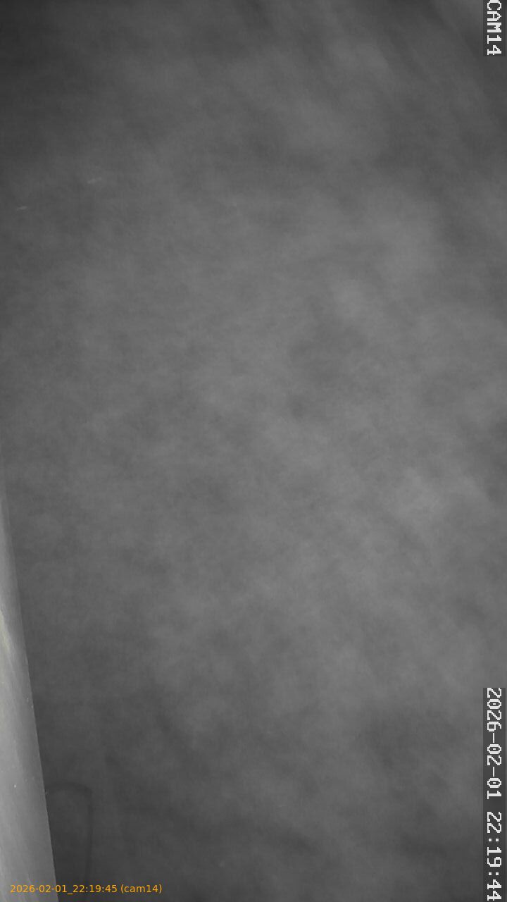 thumbnail_20260201221945