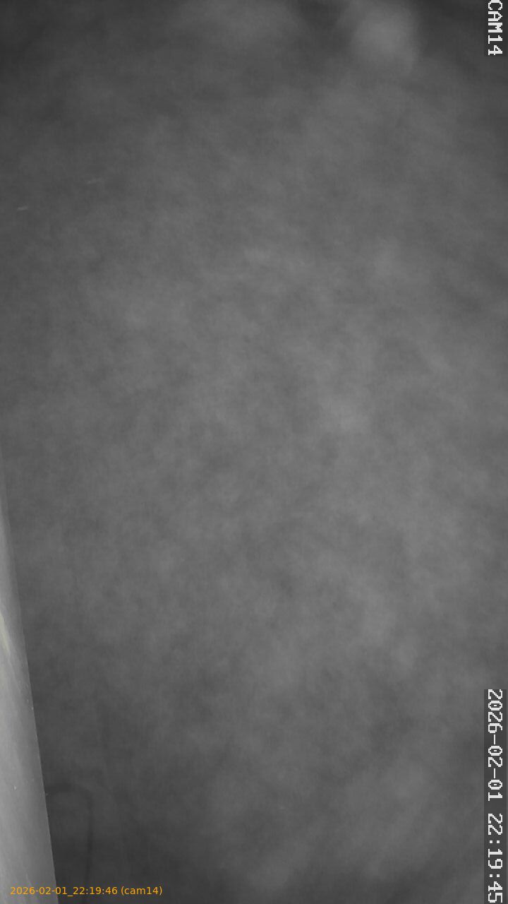 thumbnail_20260201221946