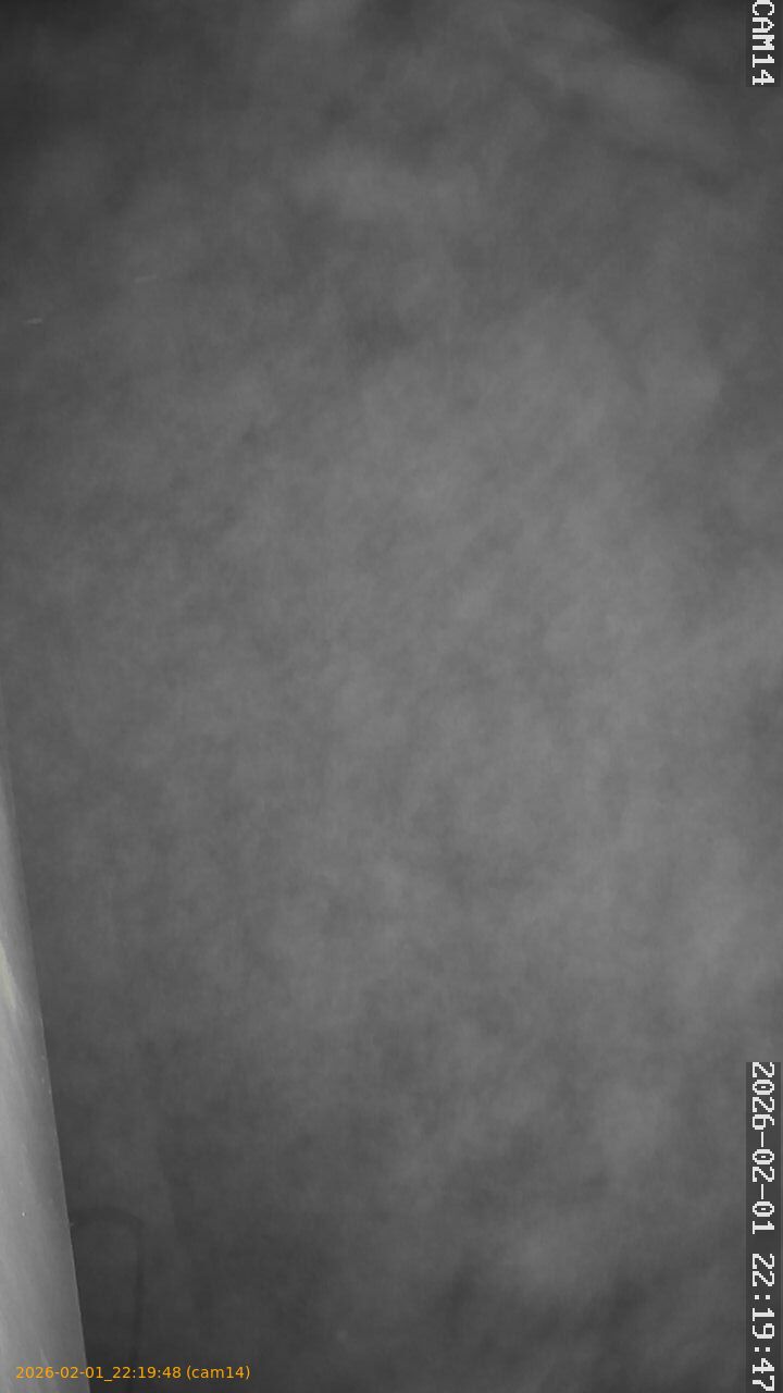 thumbnail_20260201221948