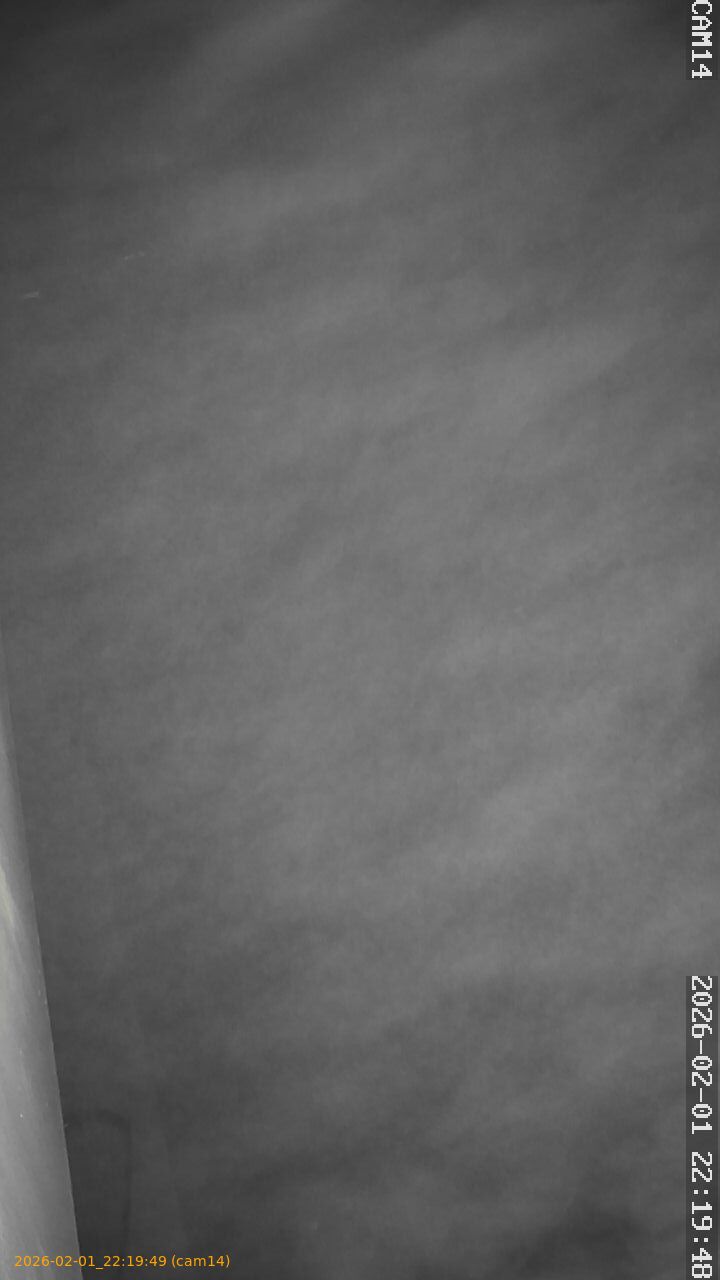 thumbnail_20260201221949