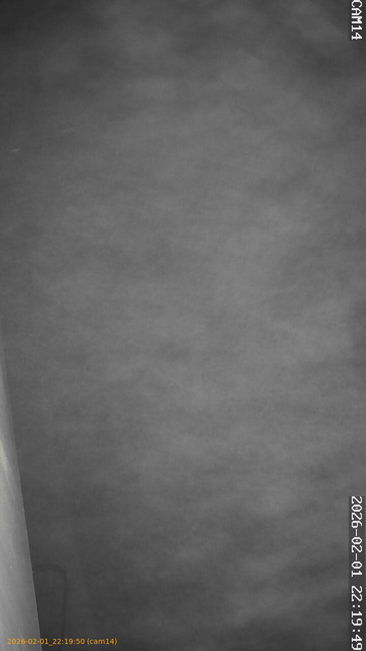 thumbnail_20260201221950