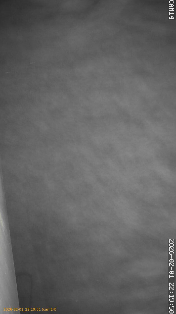 thumbnail_20260201221951