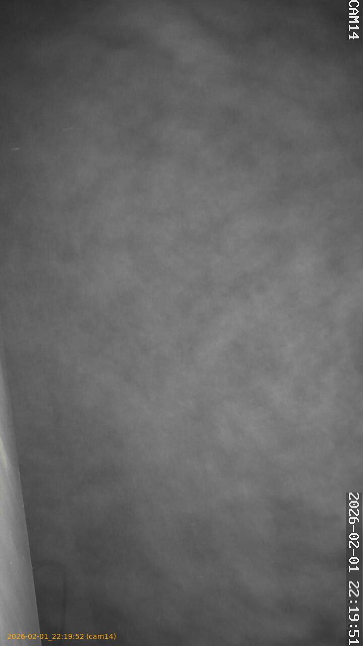 thumbnail_20260201221952