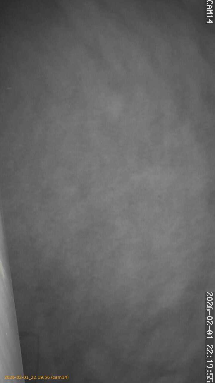 thumbnail_20260201221956