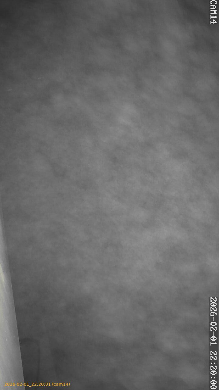 thumbnail_20260201222001