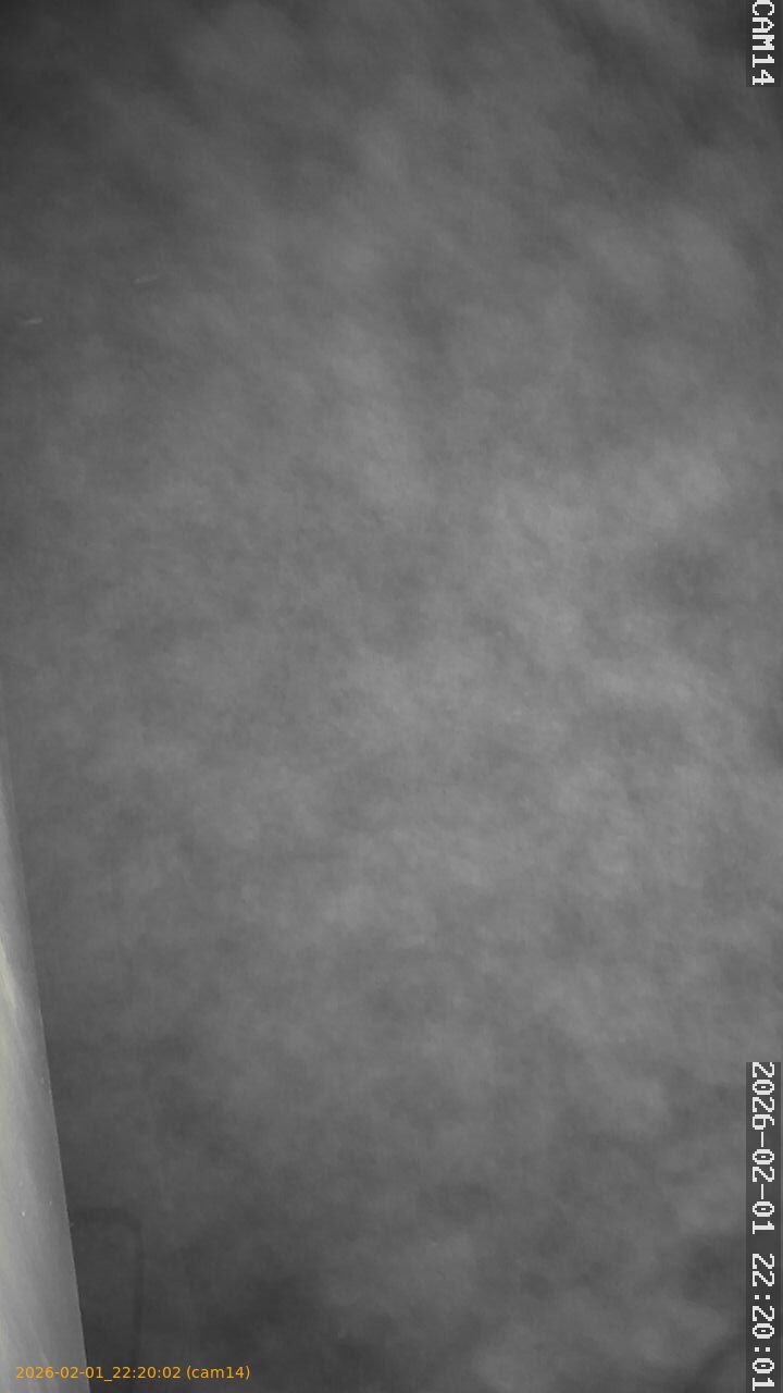 thumbnail_20260201222002