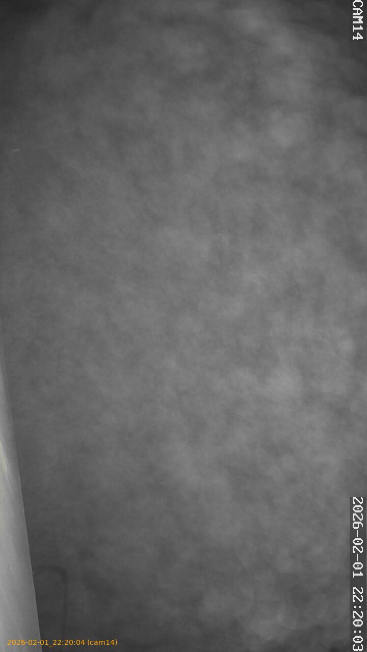 thumbnail_20260201222004