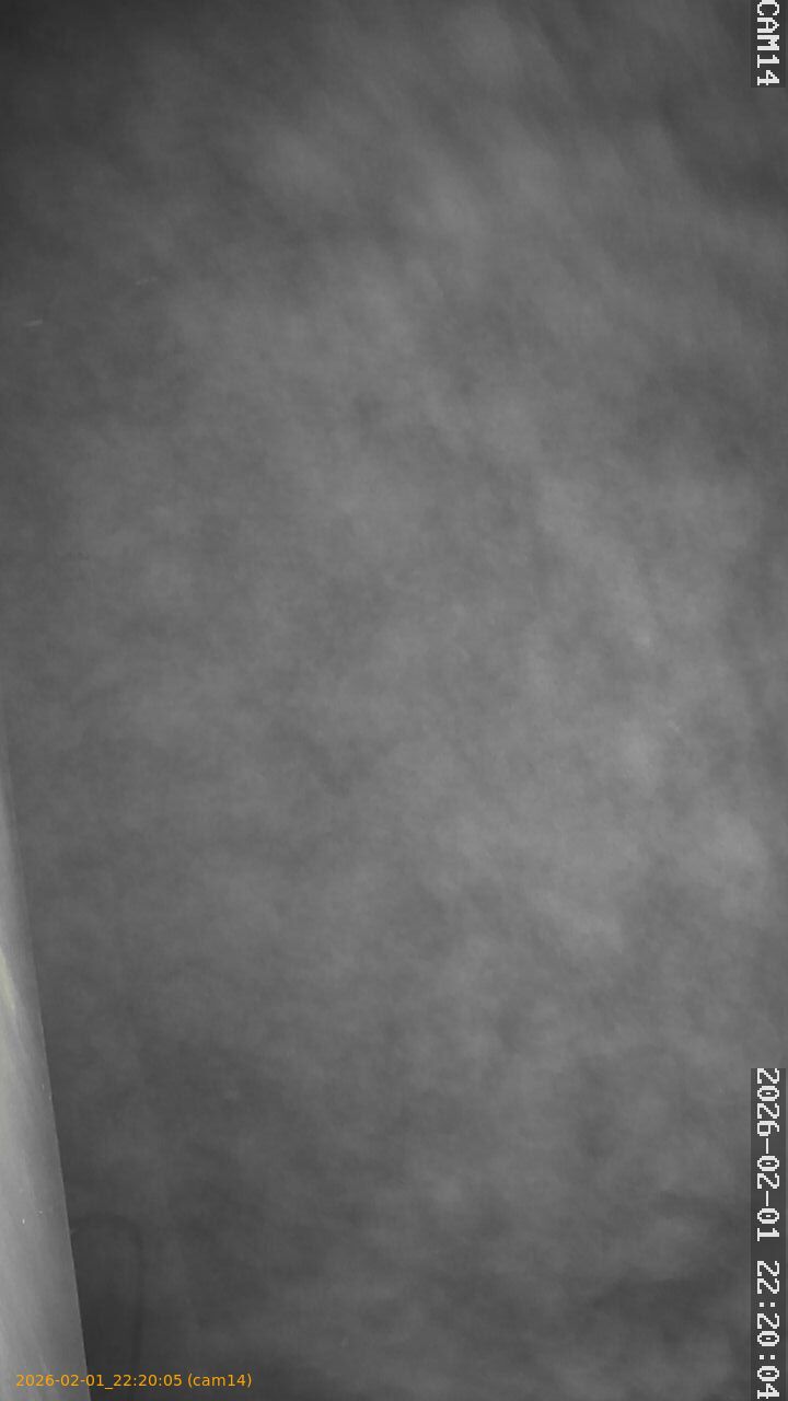 thumbnail_20260201222005