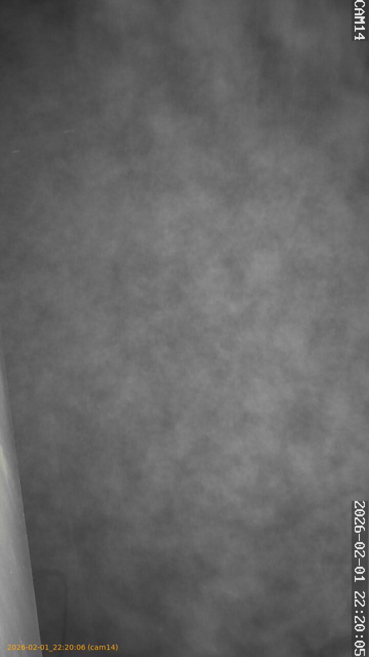 thumbnail_20260201222006