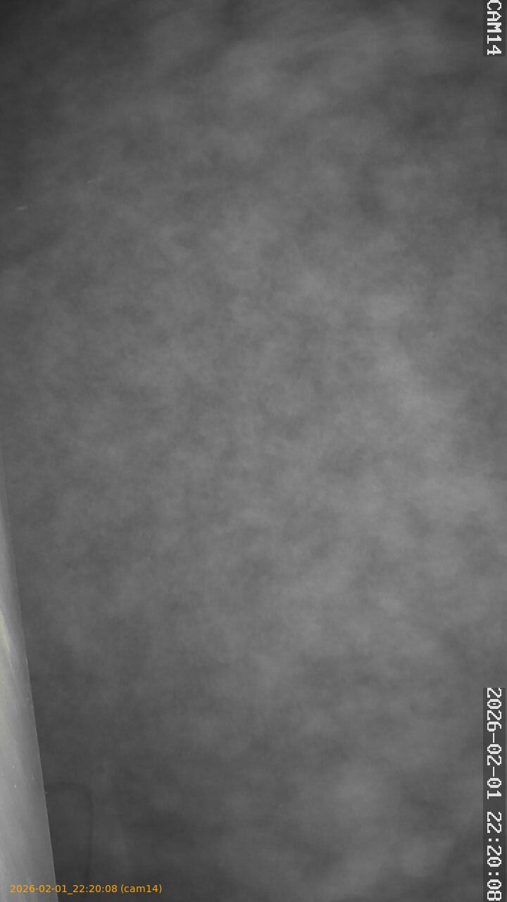 thumbnail_20260201222008