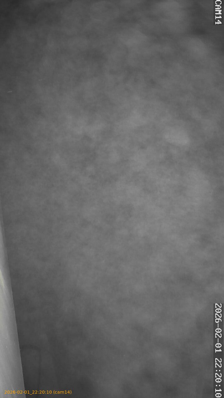 thumbnail_20260201222010