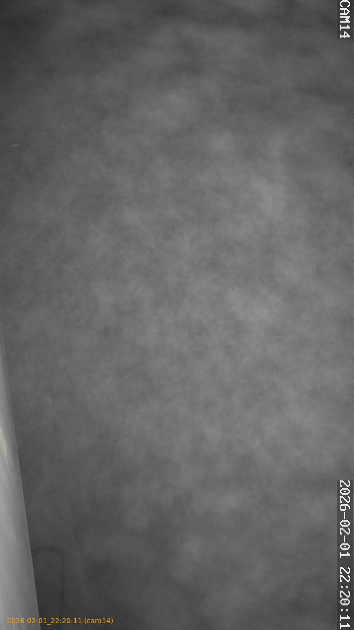 thumbnail_20260201222011