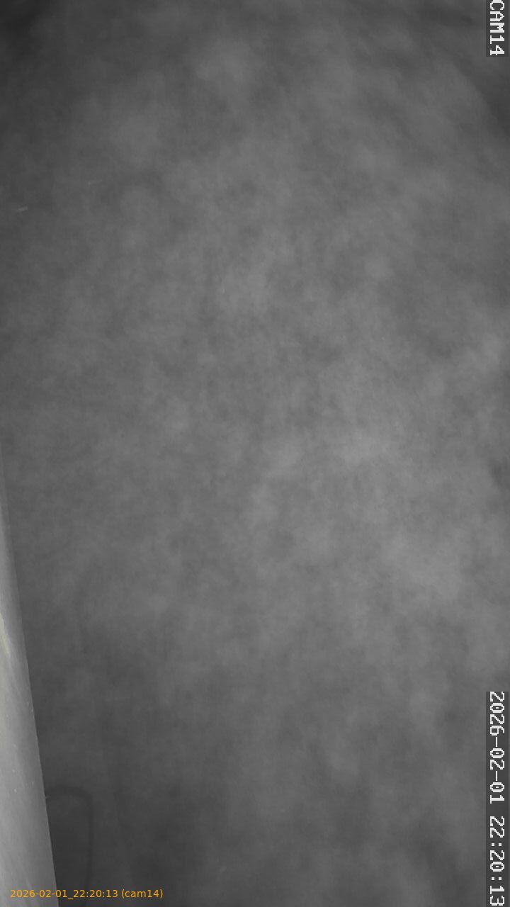 thumbnail_20260201222013