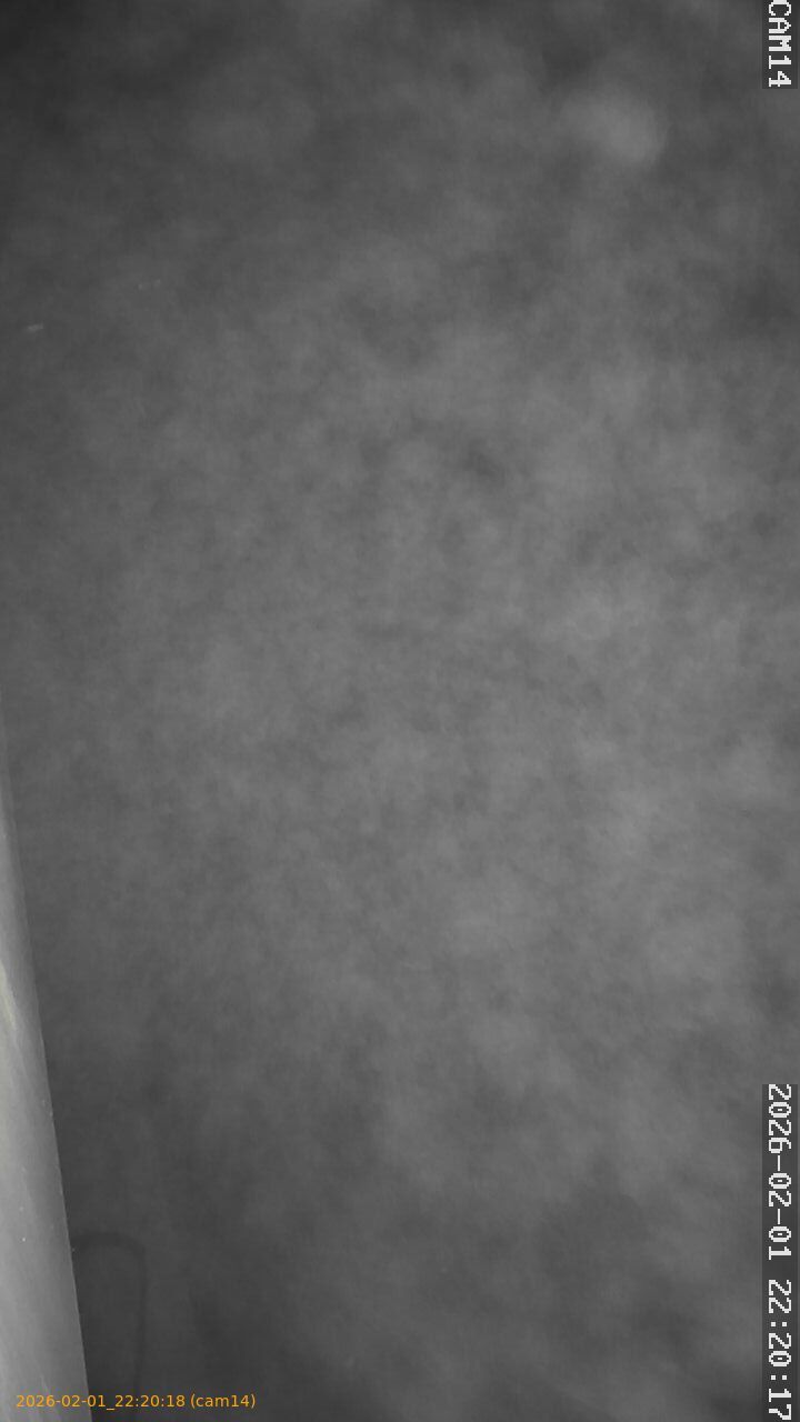 thumbnail_20260201222018