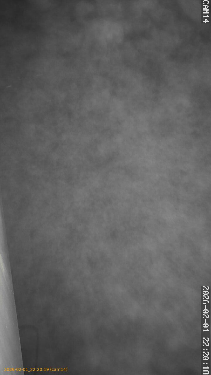 thumbnail_20260201222019